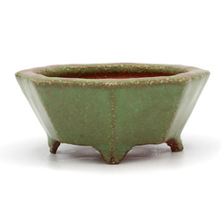Bonsai pot TOK402 HATTORI