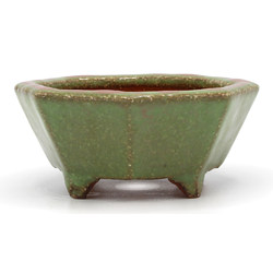 Bonsai pot TOK402 HATTORI View 2