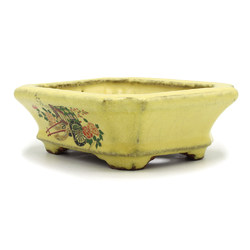 Bonsai pot TOK412 HATTORI