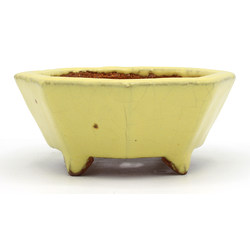 Maceta bonsái TOK422 HATTORI