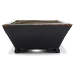 Bonsai pot TER341 TERAHATA MAZAN SATOMI View 3