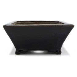 Bonsai pot TER341 TERAHATA MAZAN SATOMI View 5