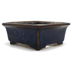 Bonsai pot TER355 TERAHATA SATOMI