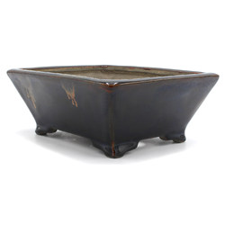 Bonsai pot TER383 TERAHATA MAZAN SATOMI View 5