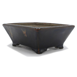 Bonsai pot TER383 TERAHATA MAZAN SATOMI View 6