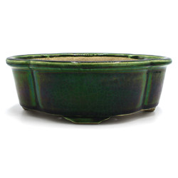 Bonsai pot TER397 TERAHATA MAZAN