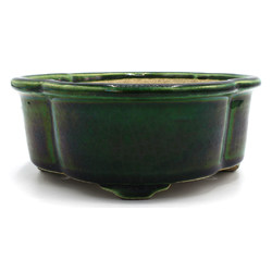 Bonsai pot TER397 TERAHATA MAZAN View 3