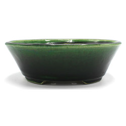 Bonsai pot TER410 TERAHATA MAZAN