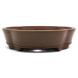 Bonsai pot JTAP1329 GYOZAN YUUJI