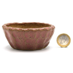 Bonsai pot JTAP1331 SHUHO SETO