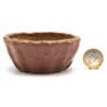 Bonsai pot JTAP1331 SHUHO SETO