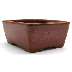 Bonsai pot Y0026-12 View 2