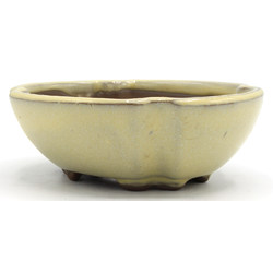 Bonsai pot Y0026-21 View 2