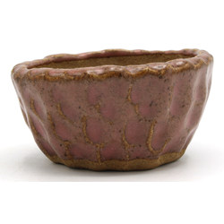 Bonsai pot JTAP1339 SHUHO SETO