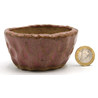 Bonsai pot JTAP1339 SHUHO SETO View 2