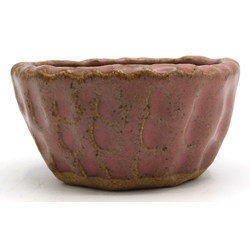 Bonsai pot JTAP1339 SHUHO SETO View 3