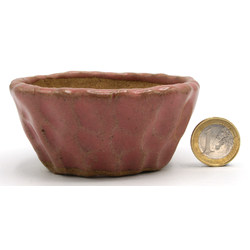 Bonsai pot JTAP1342 SHUHO SETO