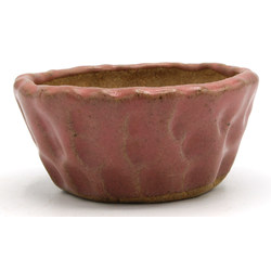 Bonsai pot JTAP1342 SHUHO SETO View 2