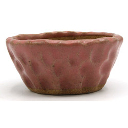 Bonsai pot JTAP1342 SHUHO SETO View 3