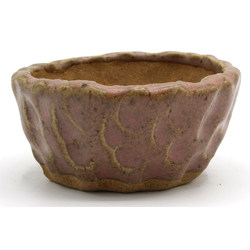 Bonsai pot JTAP1352 SHUHO SETO View 2