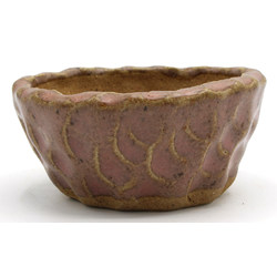 Bonsai pot JTAP1352 SHUHO SETO View 3