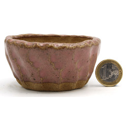 Bonsai pot JTAP1354 SHUHO SETO