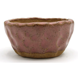 Bonsai pot JTAP1354 SHUHO SETO View 3