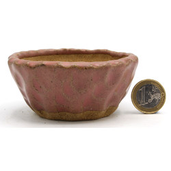 Bonsai pot JTAP1358 SHUHO SETO