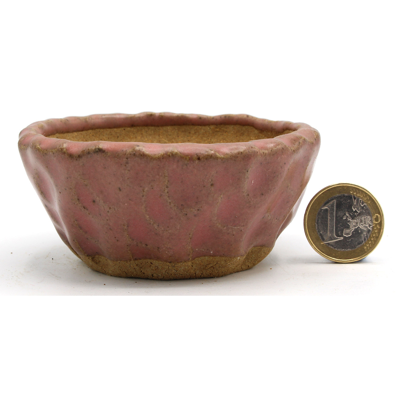 Bonsai pot JTAP1358 SHUHO SETO