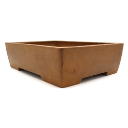 Bonsai pot JTA7557 IZUMI-YA ZENIGO