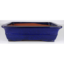 Bonsai pot CCH115