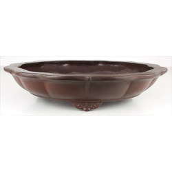 Bonsai pot JTA7570 YAMAAKI TOSHIO