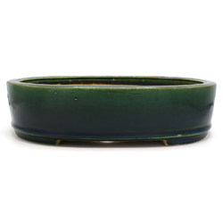 Bonsai pot JTA7611 TERAHATA MAZAN