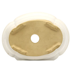 Maceta bonsái JTAP1403 JAPONESA Vista 2