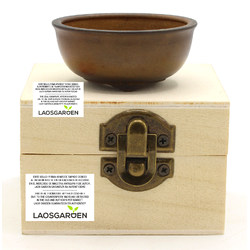 Bonsai pot JTAP1417 TENRYU SEKISEN View 2