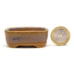 Maceta bonsái JTAP1421 MARUFUJI