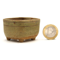 Bonsai pot JTAP1425 RAKUZAN
