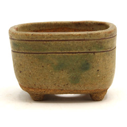 Bonsai pot JTAP1425 RAKUZAN View 2