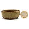 Bonsai pot JTAP1435 RAKUZAN
