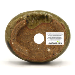 Bonsai pot JTAP1438 RAKUZAN View 3