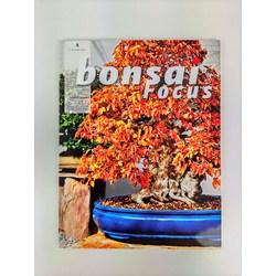 Bonsai Focus nº 4