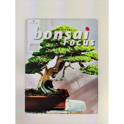 Bonsai Focus nº 5
