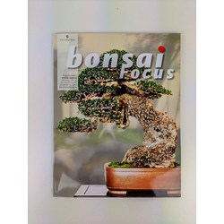 Bonsai Focus nº 6
