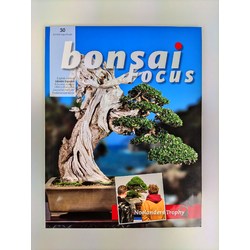Bonsai Focus nº 30