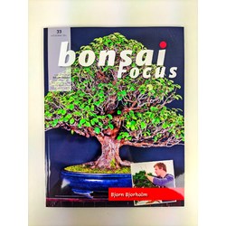 Bonsai Focus nº 33