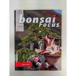 Bonsai Focus nº 37