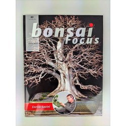Bonsai Focus nº 40