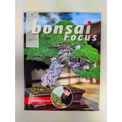 Bonsai Focus nº 42
