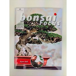 Bonsai Focus nº 43