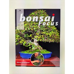 Bonsai Focus nº 44